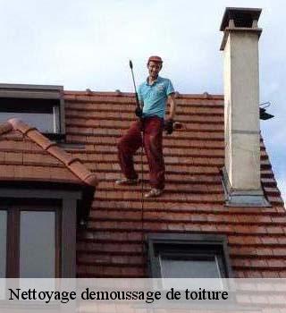 Nettoyage demoussage de toiture 91 Essonne  M. Legras