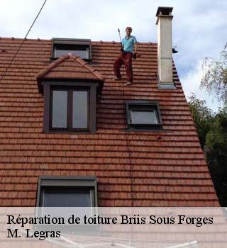 Réparation de toiture  briis-sous-forges-91640 M. Legras