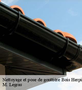 Nettoyage et pose de gouttière  bois-herpin-91150 M. Legras