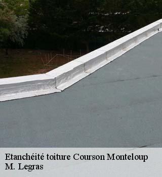 Etanchéité toiture  courson-monteloup-91680 M. Legras
