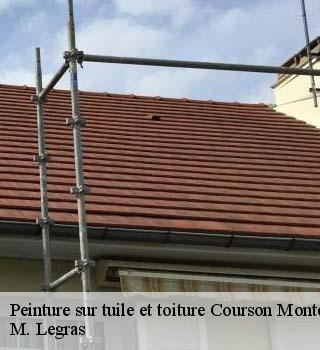 Peinture sur tuile et toiture  courson-monteloup-91680 M. Legras