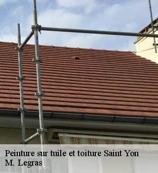 Peinture sur tuile et toiture  saint-yon-91650 M. Legras