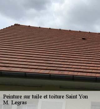 Peinture sur tuile et toiture  saint-yon-91650 M. Legras
