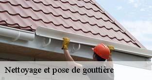 Nettoyage et pose de gouttière 91 Essonne  M. Legras
