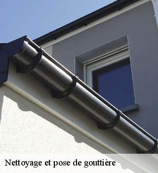 Nettoyage et pose de gouttière 91 Essonne  M. Legras