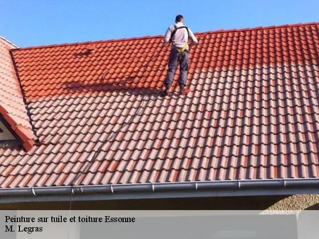 Peinture sur tuile 91 Essonne