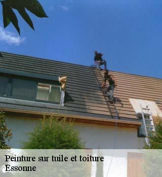 Peinture sur tuile et toiture 91 Essonne  M. Legras