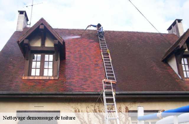 Nettoyage demoussage de toiture