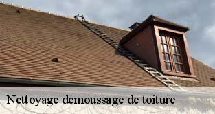 Nettoyage demoussage de toiture 91 Essonne  M. Legras