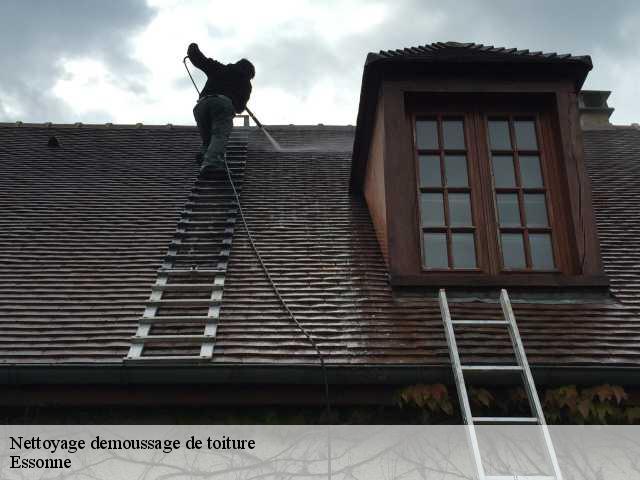 Nettoyage demoussage de toiture Essonne