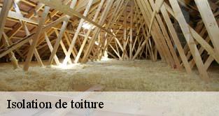 Isolation de toiture  ballainvilliers-91160 M. Legras