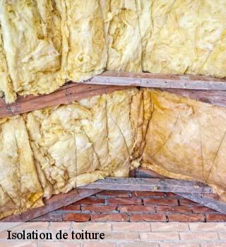 Isolation de toiture  bruyeres-le-chatel-91680 M. Legras