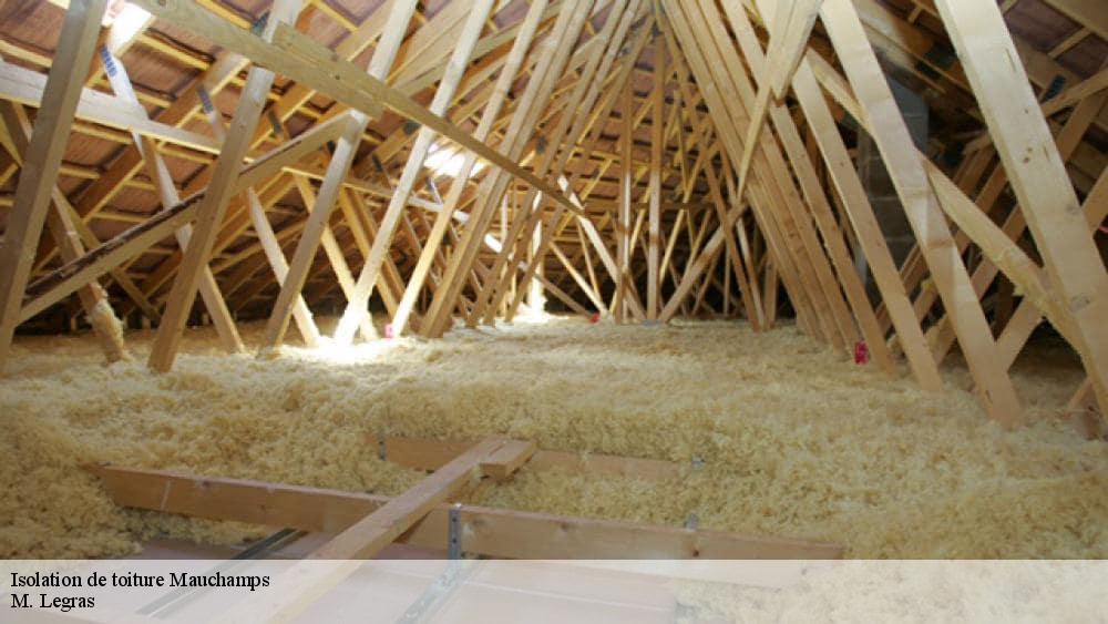 Isolation de toiture mauchamps-91730 BL Couverture