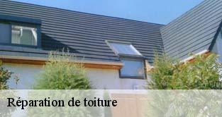Réparation de toiture  avrainville-91630 M. Legras