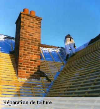Réparation de toiture  etrechy-91580 M. Legras
