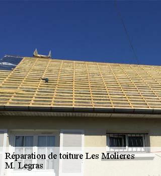 Réparation de toiture  les-molieres-91470 M. Legras