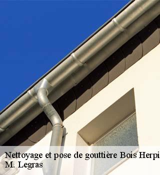 Nettoyage et pose de gouttière  bois-herpin-91150 M. Legras