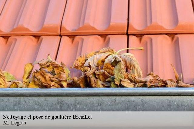 Nettoyage et pose de gouttière breuillet-91650