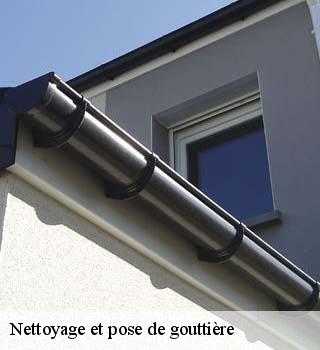 Nettoyage et pose de gouttière chamarande-91730 M. Legras