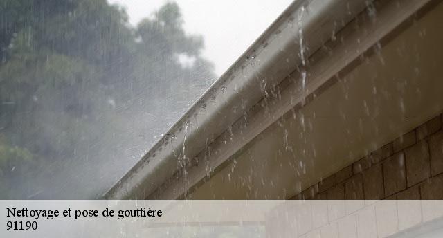 Nettoyage et pose de gouttière 91190