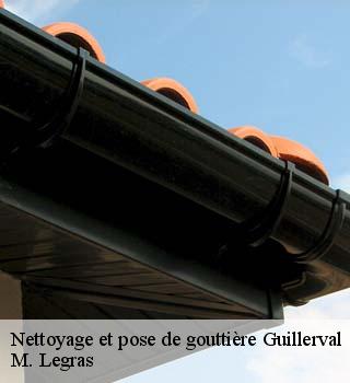 Nettoyage et pose de gouttière  guillerval-91690 M. Legras