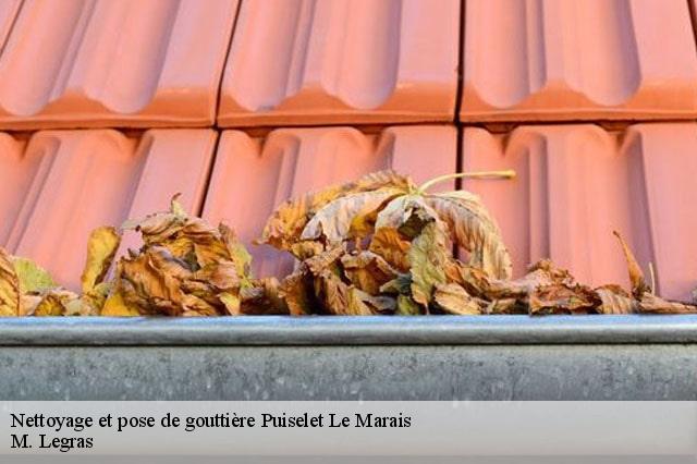 Nettoyage et pose de gouttière puiselet-le-marais-91150