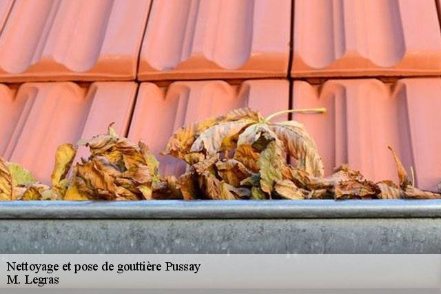 Nettoyage et pose de gouttière pussay-91740