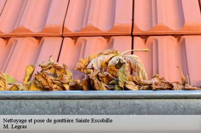 Nettoyage et pose de gouttière sainte-escobille-91410