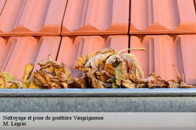Nettoyage et pose de gouttière vaugrigneuse-91640 BL Couverture