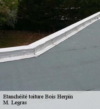 Etanchéité toiture  bois-herpin-91150 M. Legras