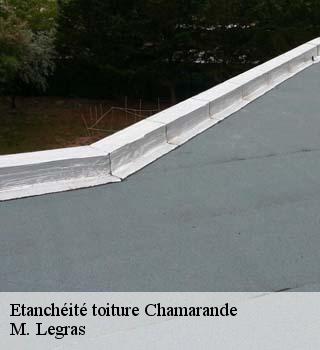 Etanchéité toiture  chamarande-91730 M. Legras
