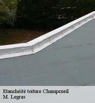 Etanchéité toiture  champcueil-91750 M. Legras