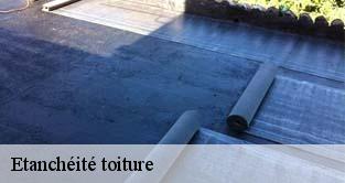 Etanchéité toiture  fontenay-le-vicomte-91540 M. Legras