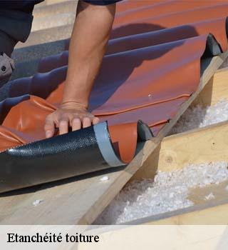 Etanchéité toiture limours-91470 M. Legras