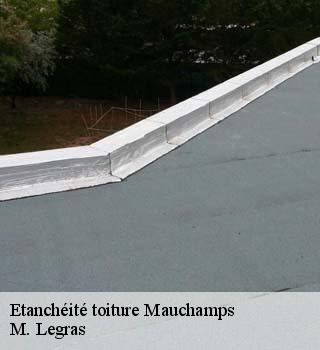 Etanchéité toiture  mauchamps-91730 M. Legras