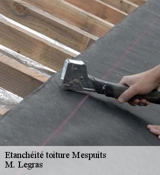 Etanchéité toiture  mespuits-91150 M. Legras