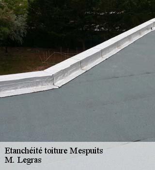 Etanchéité toiture  mespuits-91150 M. Legras