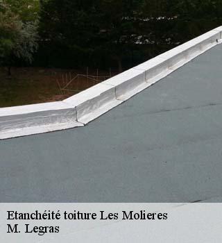 Etanchéité toiture  les-molieres-91470 M. Legras