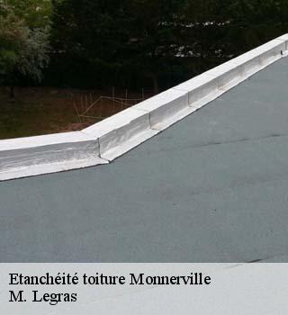 Etanchéité toiture  monnerville-91930 M. Legras
