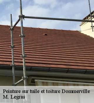 Peinture sur tuile et toiture  dommerville-91670 M. Legras