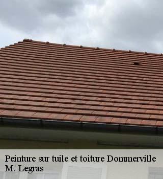 Peinture sur tuile et toiture  dommerville-91670 M. Legras