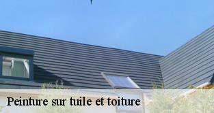 Peinture sur tuile et toiture  bouray-sur-juine-91850 M. Legras