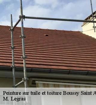 Peinture sur tuile et toiture  boussy-saint-antoine-91800 M. Legras