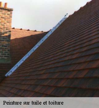 Peinture sur tuile et toiture  chauffour-les-etrechy-91580 M. Legras