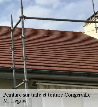 Peinture sur tuile et toiture  congerville-91740 M. Legras