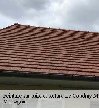 Peinture sur tuile et toiture  le-coudray-montceaux-91830 M. Legras