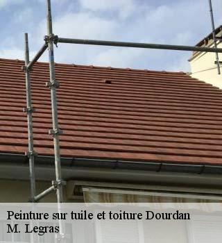 Peinture sur tuile et toiture  dourdan-91410 M. Legras