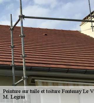 Peinture sur tuile et toiture  fontenay-le-vicomte-91540 M. Legras