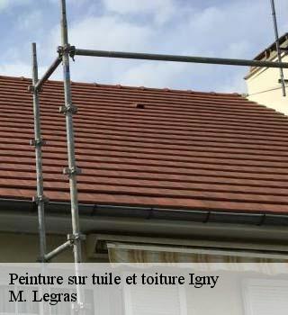 Peinture sur tuile et toiture  igny-91430 M. Legras