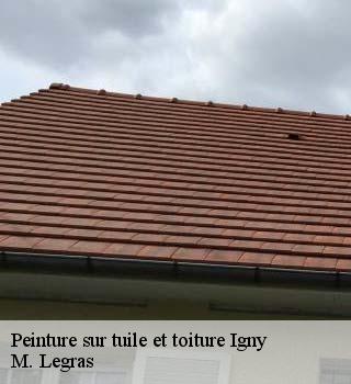 Peinture sur tuile et toiture  igny-91430 M. Legras